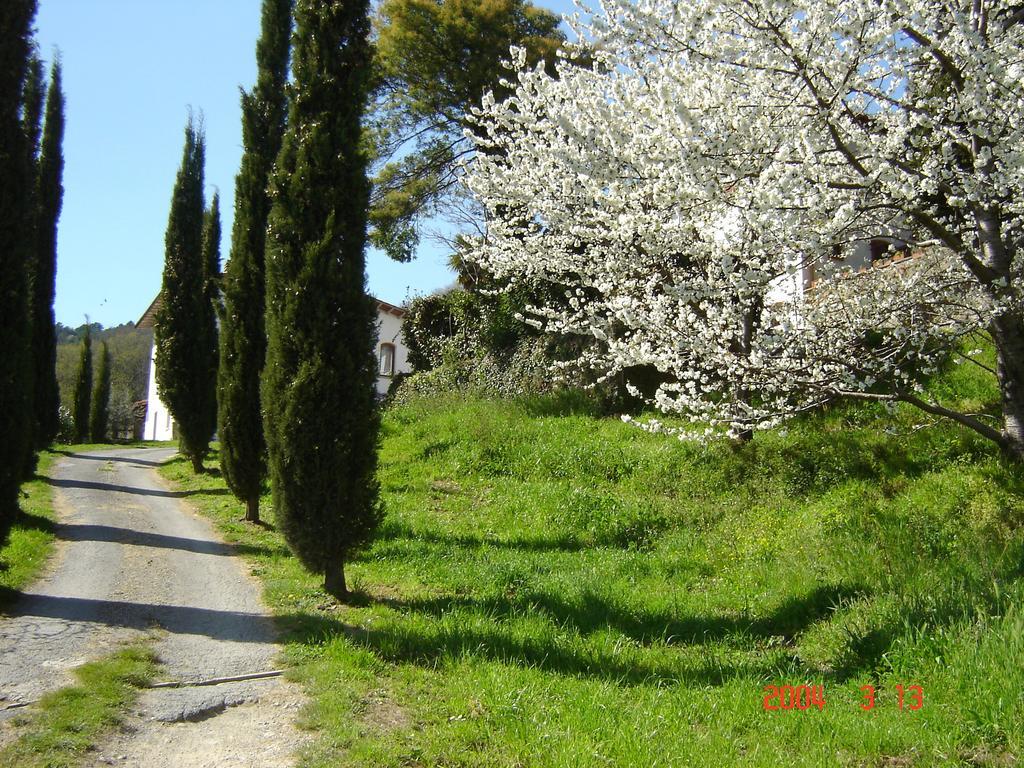 Podere"Sulle Soglie Del Bosco" Appartament And Rooms Пеша Екстериор снимка